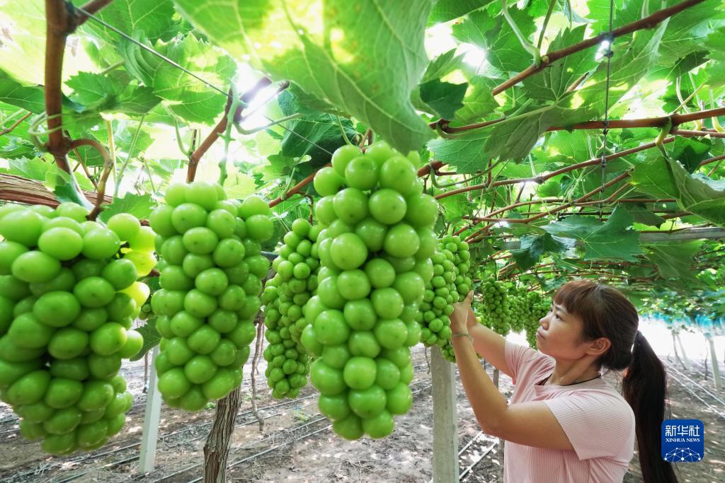银色导航